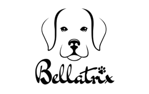 Bellatrix Logo