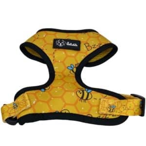 Bee Kind harness