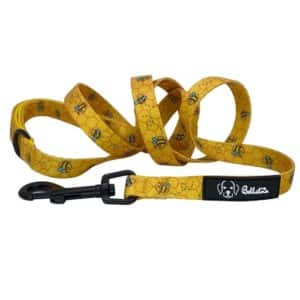 Bee Kind Leash