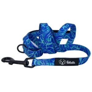 Water Play Leash