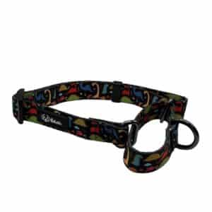 Martingale Collar with Dinosaur print